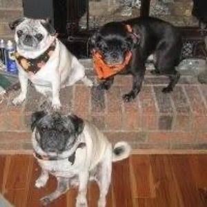 Meet your Posher, Nancy